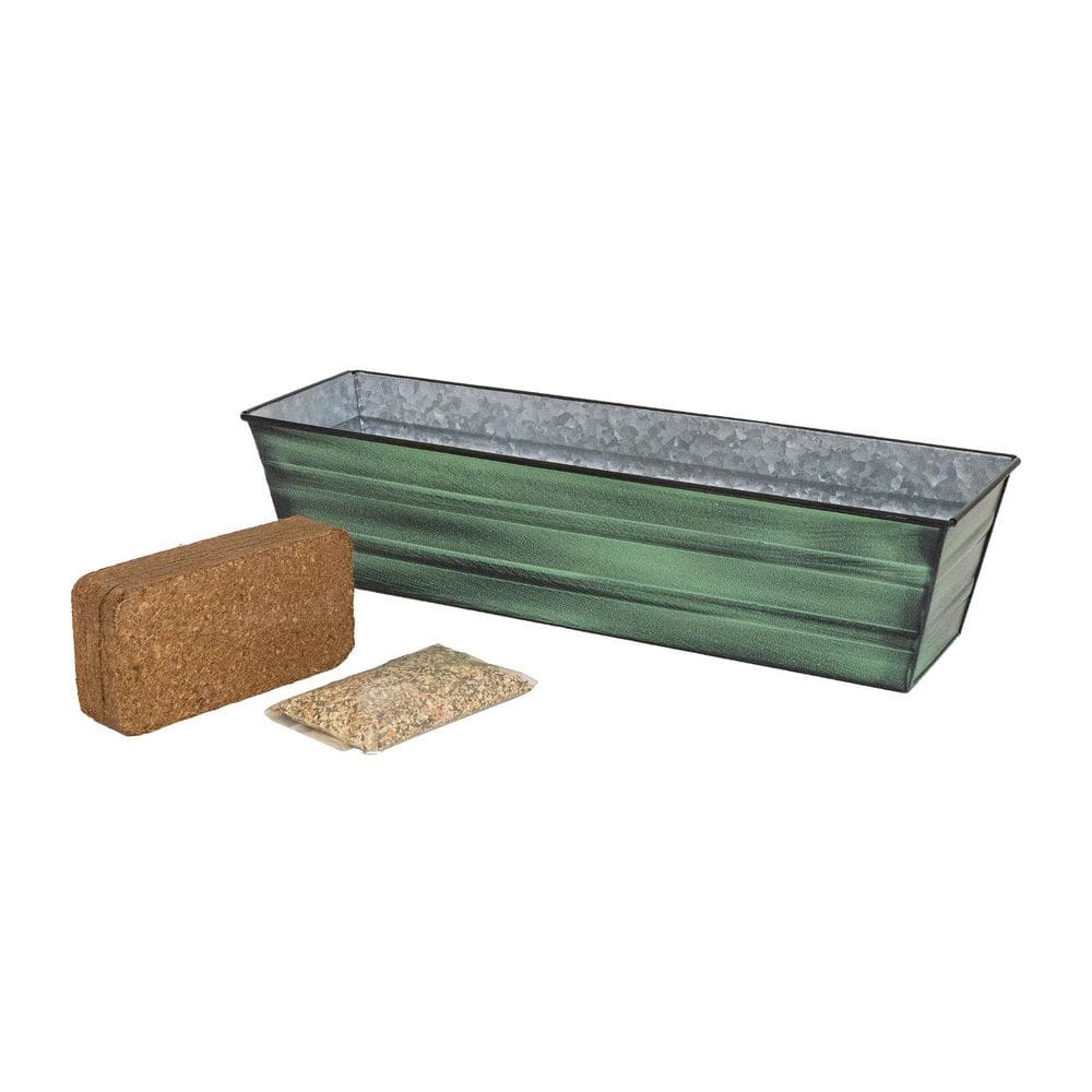 22 in. W Small Green Patina Finish Galvanized Steel Bloom Box Garden Growing Kit, Garden Accent price history on PriceWatchPro