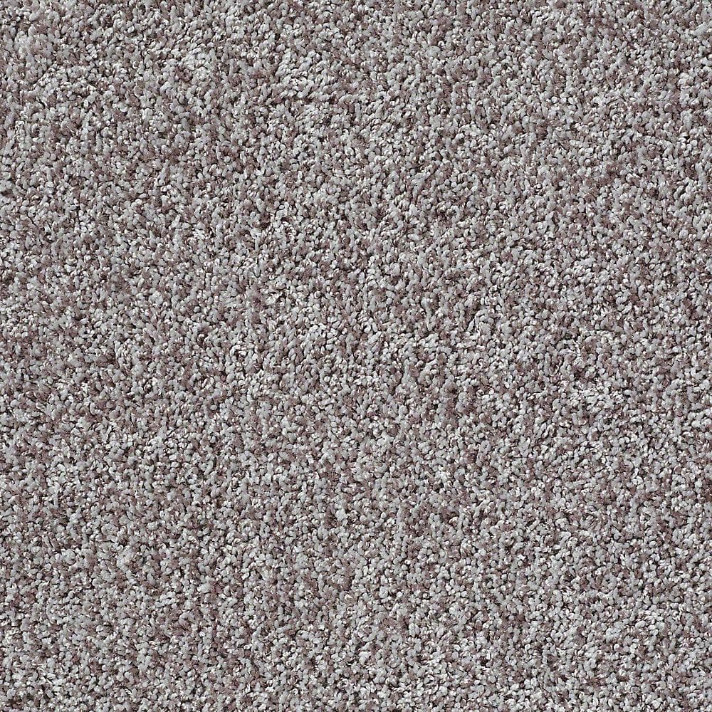 8 in. x 8 in. Twist Carpet Sample - Charming - Color Dry Creek price history on PriceWatchPro