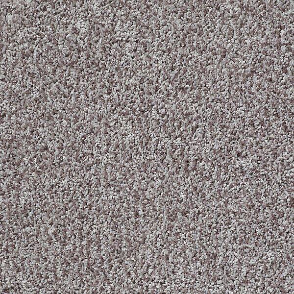 TrafficMaster 8 in. x 8 in. Twist Carpet Sample - Charming - Color Dry Creek