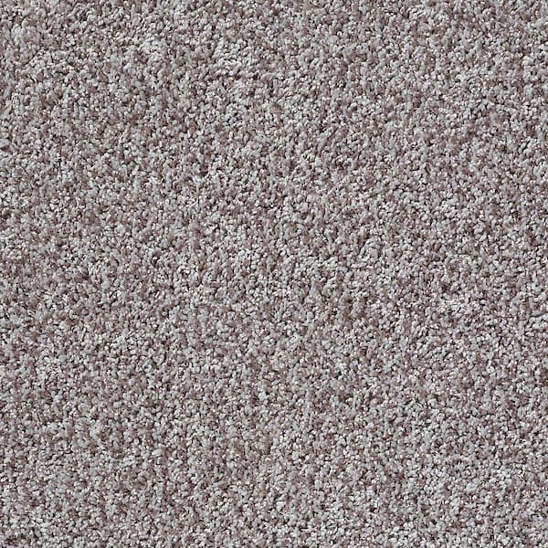 TrafficMaster Charming - Dry Creek - Brown 24 oz. Polyester Twist Installed Carpet