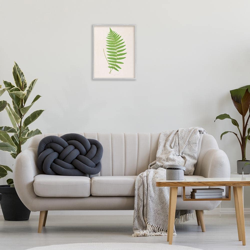 Stupell Industries Single Fern Branch by Phillipa Katz Gray Framed