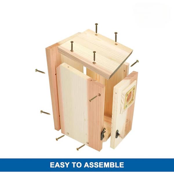 Justincity Cedar Wood Bluebird Finch Swallow Wren Chickadee Bird