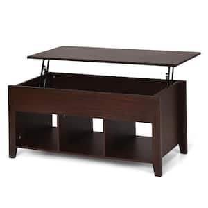 41 in. Lift Top Wooden Coffee Table with Storage Lower Shelf, Brown