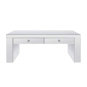 Noralie 48 in. Silver Large Rectangle Wood Coffee Table with Drawers