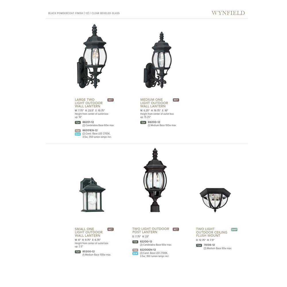 Wynfield Black and Clear Glass 2-Light Outdoor Flush Mount Ceiling Light