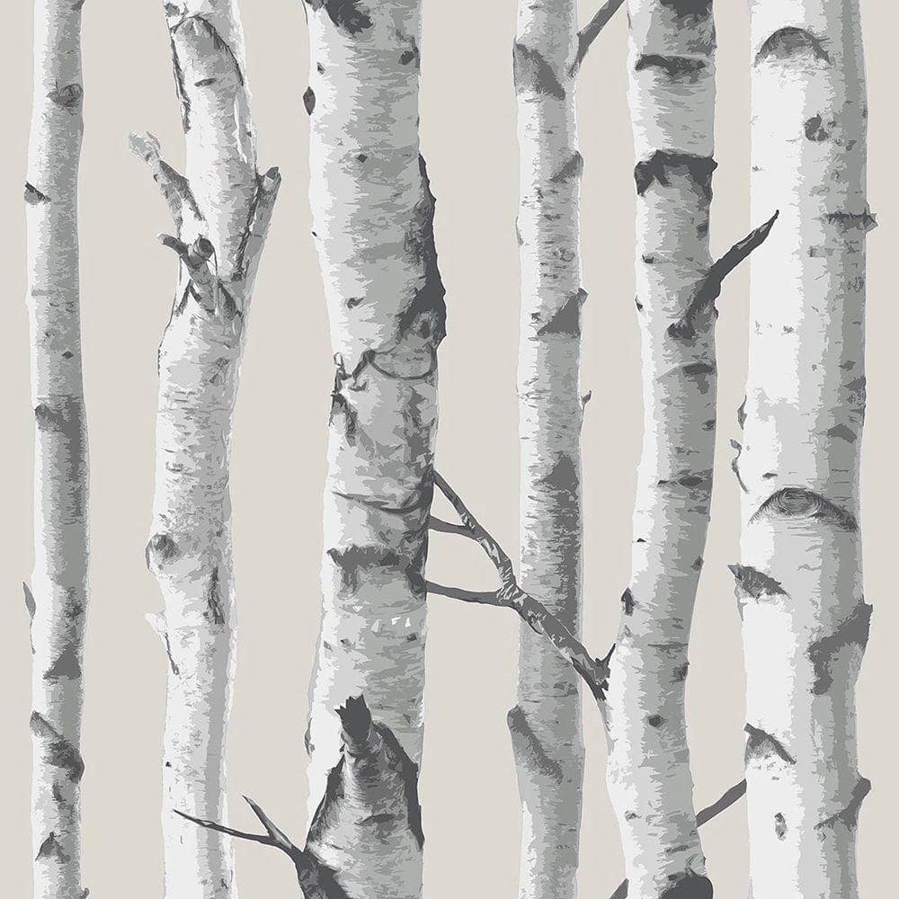 Share more than 90 birch tree removable wallpaper