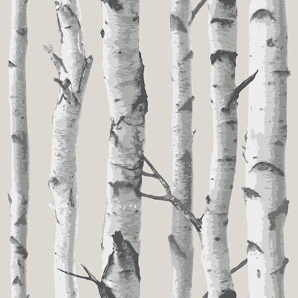 NuWallpaper Birch Tree Multi-Color Wallpaper Sample