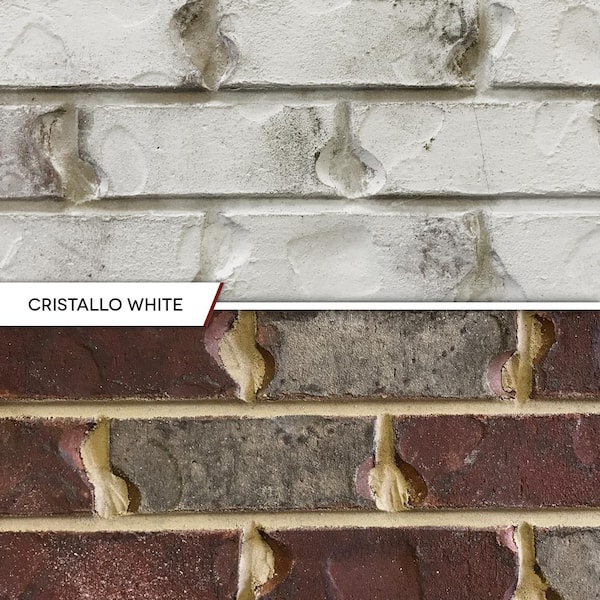 OMAN10 COLONISTA White×Lime ROMABIO 1 qt. Bianco White Limewash Interior/Exterior Paint