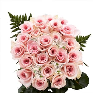 2-Dozen Pink Roses Order with Baby's Breath and Green- Fresh Flower Delivery