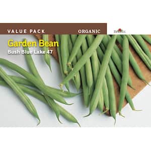 Bean Bush Snap Blue Lake 47 Organic Value Pack Seed