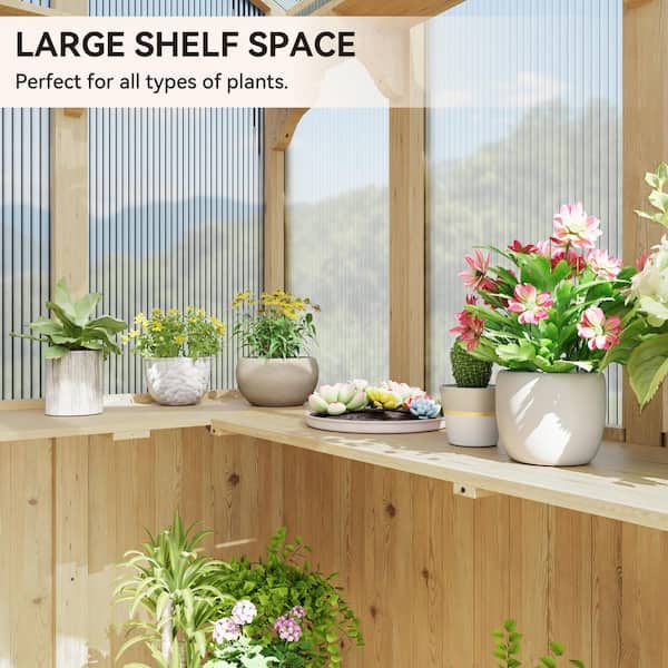 はざわ アクアリウムバブル高さ180cm/6層ストレート 2台セット Gardenbee 6.8 ft. x 7.8 ft. Wood Garden Greenhouse with Double