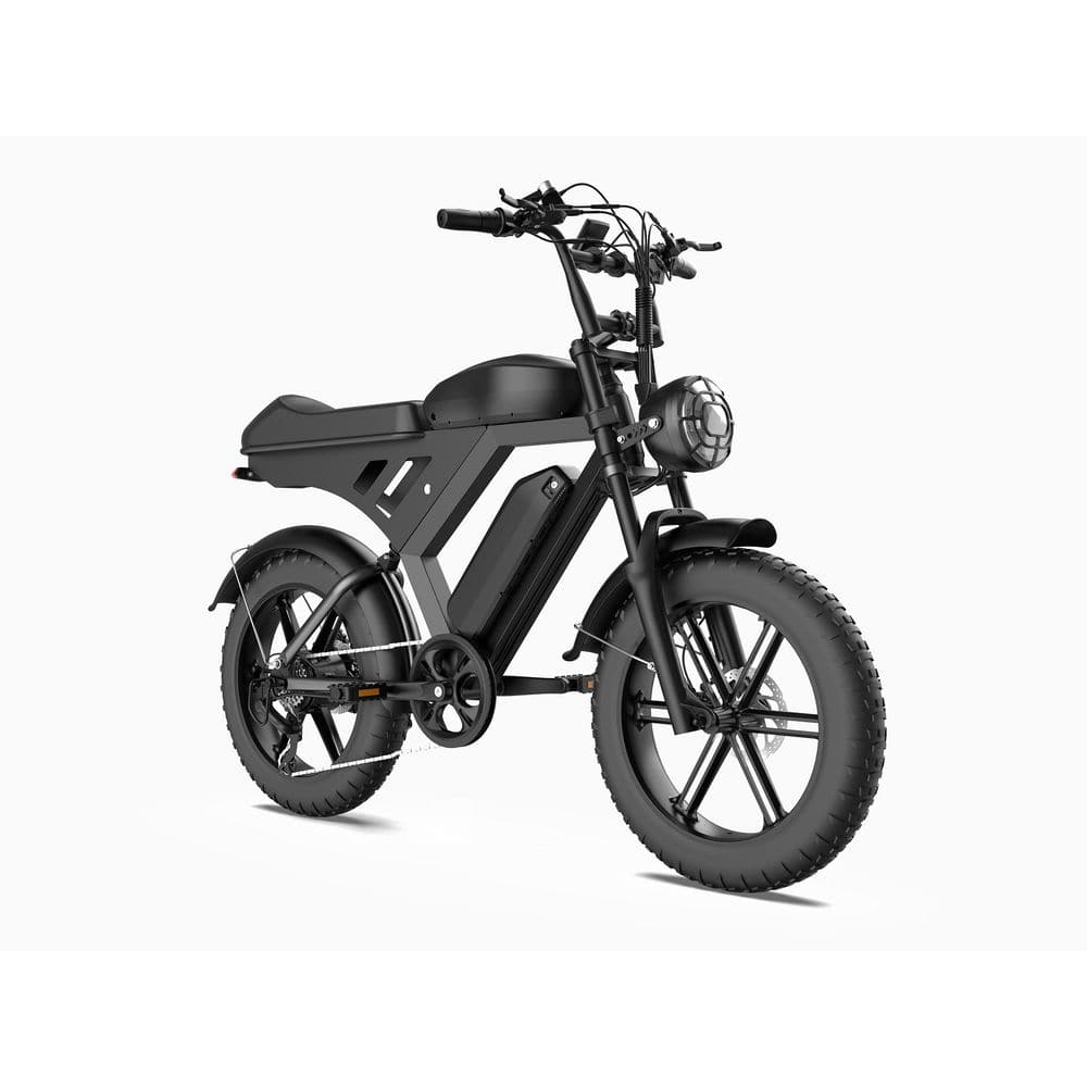 Sudzendf 20 in. Black Fat Tire Electric Bike for Adults Dual Battery Motorcycle Ebike for Commuting