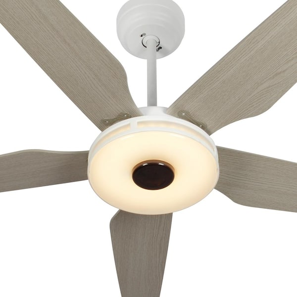 Smart Ceiling Fan Dimmable Led Light