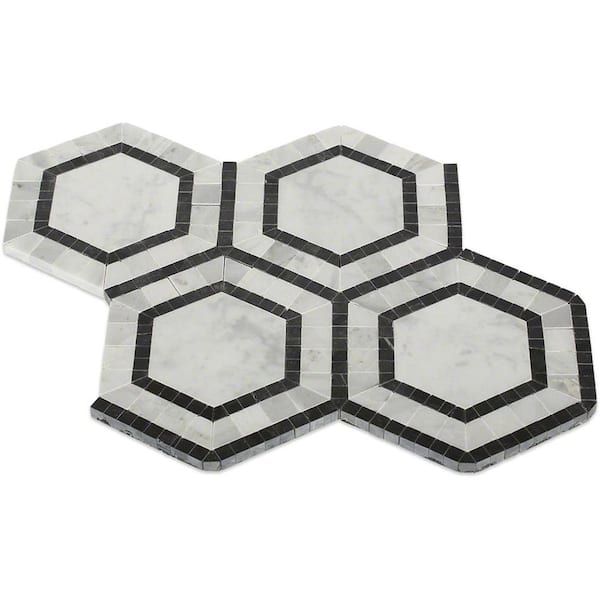 Ivy Hill Tile Sample of Zeta Carrera 6 in. x 6 in. Polished Marble Tile Sample