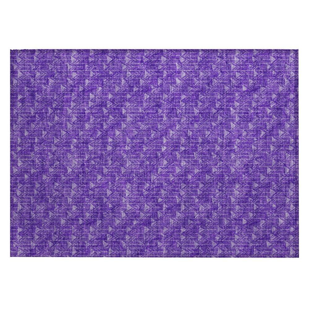 Purple 2 ft. x 3 ft. Geometric Indoor/Outdoor Area Rug price history on PriceWatchPro