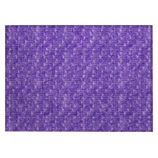 Purple 2 ft. x 3 ft. Geometric Indoor/Outdoor Area Rug