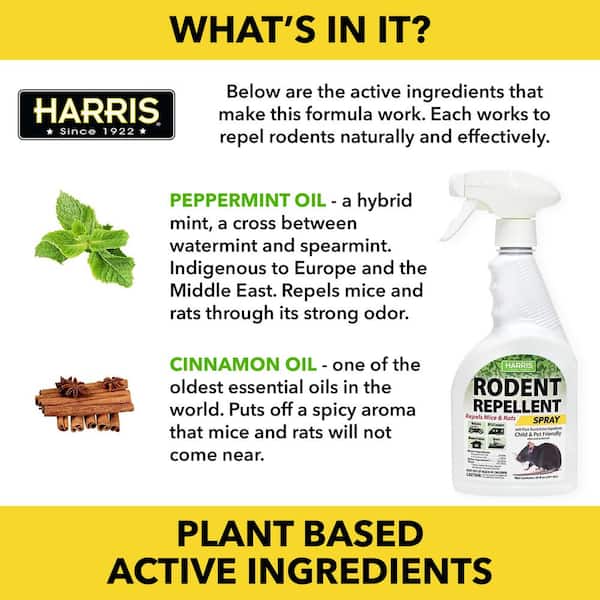 Harris 20 Oz Rodent Repellent Essential Oil Spray 2 Pack 2grr 20 The Home Depot