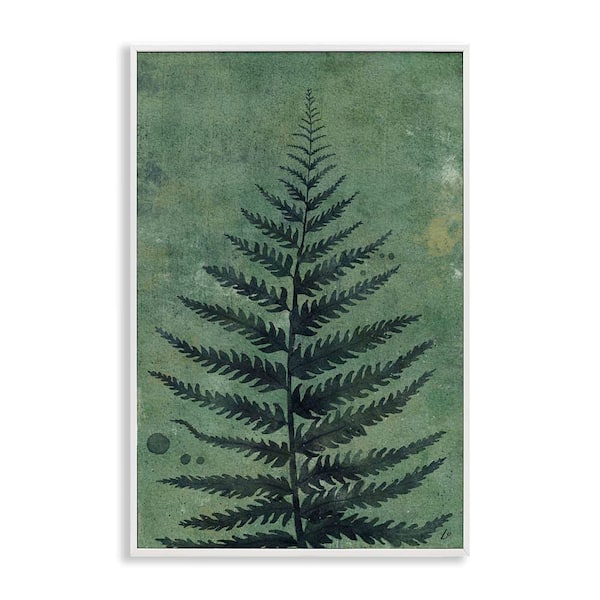 Stupell Industries Rustic Fern Impression by Lydia Orange White Framed Nature Giclee Art Print 30 in. x 20 in.