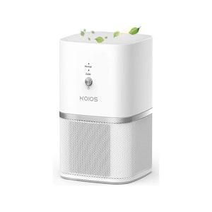 Small Air Purifiers with True HEPA Filter