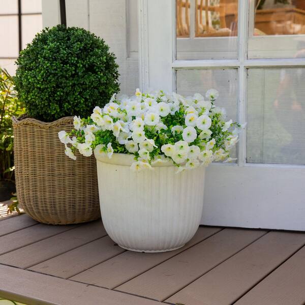 Nearly Natural 14 in. UV Resistant Artificial Morning Glory Bush