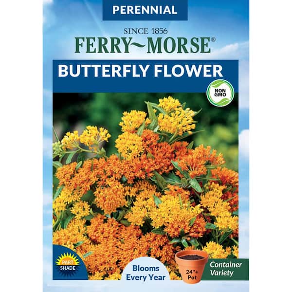 Ferry-Morse Butterfly Flower Seed