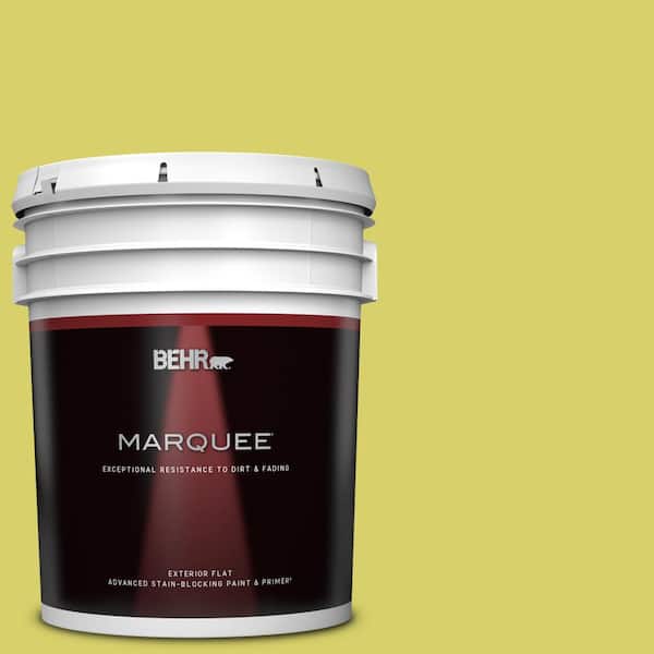 BEHR MARQUEE 5 gal. #P340-4 Lime Tree Flat Exterior Paint & Primer