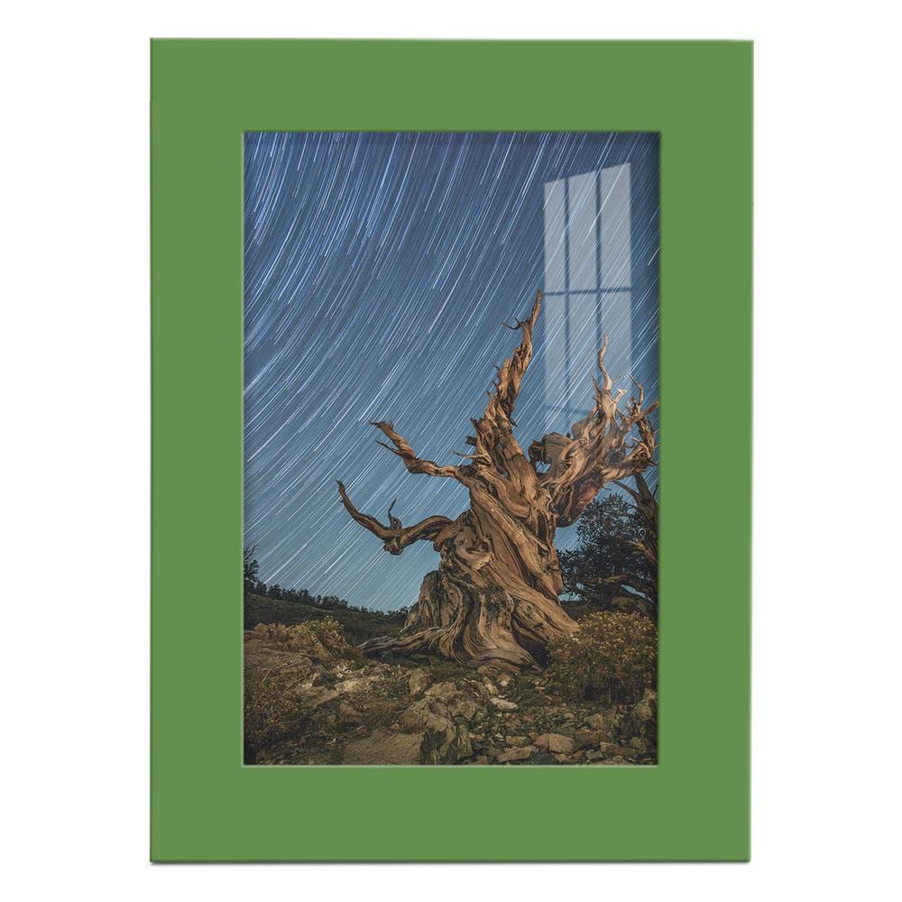 Modern 5 in. x 7 in. Green Picture Frame price history on PriceWatchPro