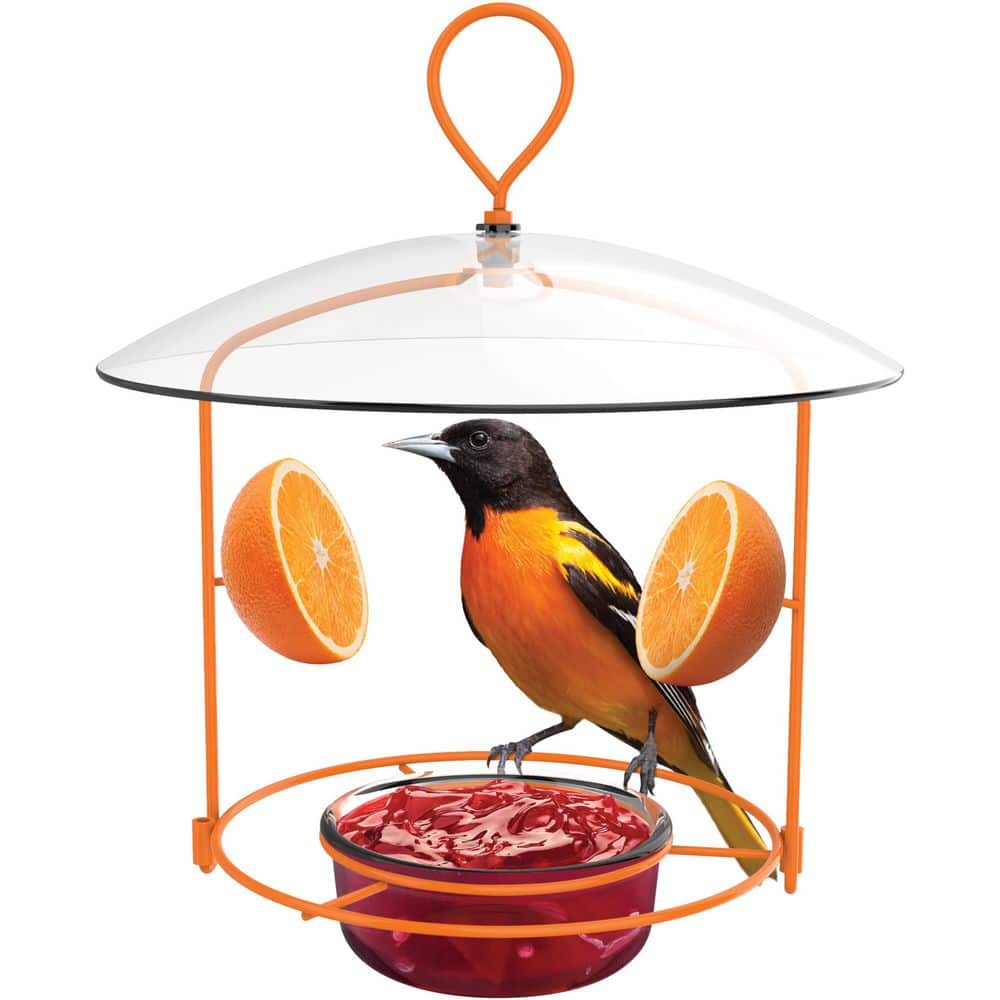 Nature's Way Oriole Wire Feeder 3/4 Cup OFM1-CP1 - The Home Depot