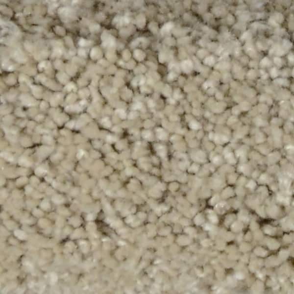 Home Decorators Collection Carpet Sample - Great Moments II (S) - Color Oasis Texture 8 in. x 8 in.