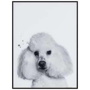 Poodle Black and White Pet Minimally Framed with Black Anodized Aluminum on Reverse Printed Art Glass, 24 in. x 18 in.