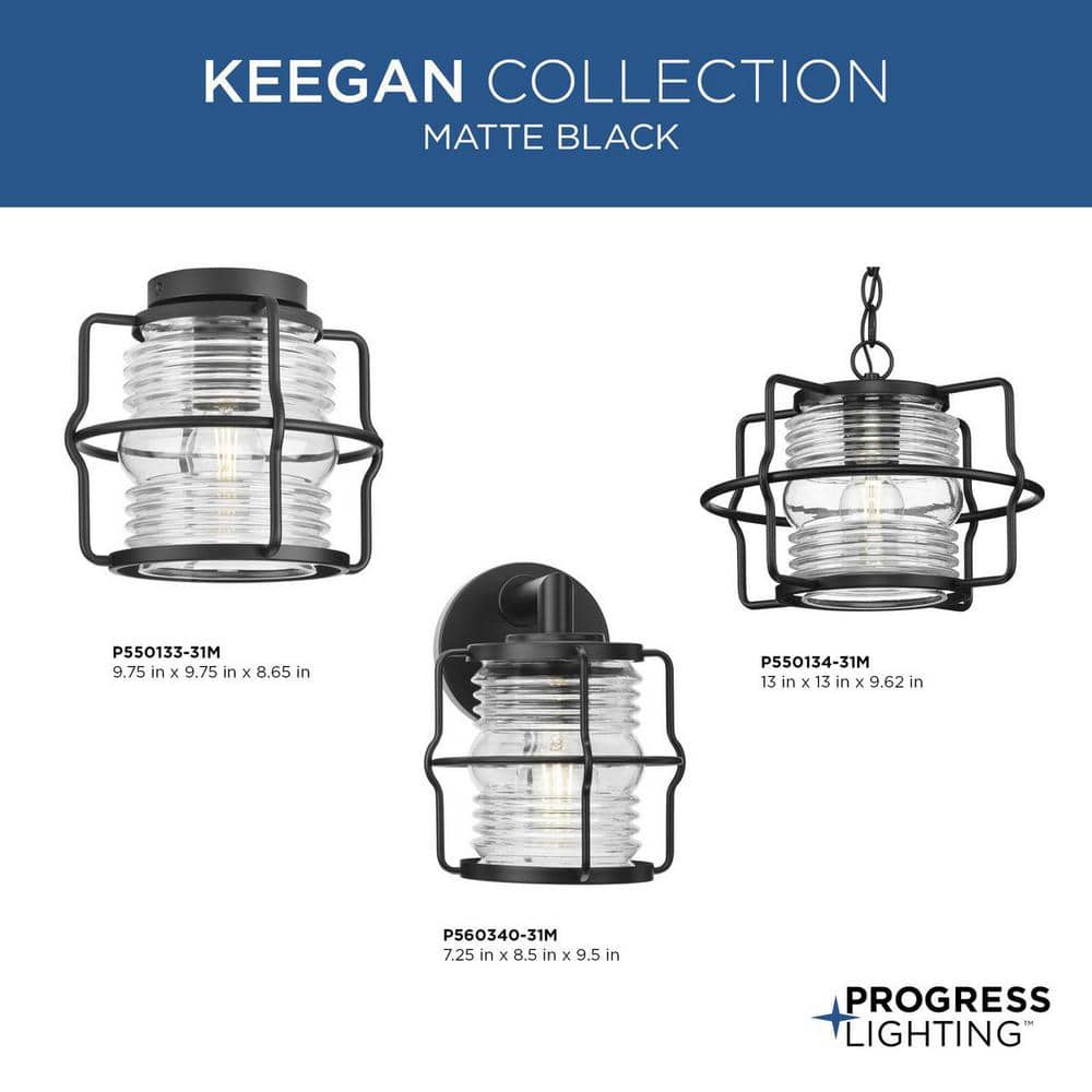 Keegan Matte Black Glass Indoor/Outdoor Flush Mount Light