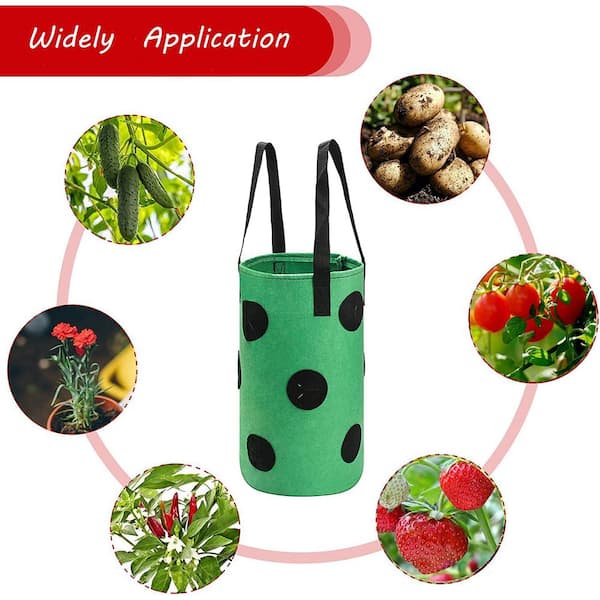 Dyiom Strawberry Vegetable Rose Planting Bag 3 Gallons 12 Planting Holes Strong Hanging Handle Thickened Breathable Felt, Red/Green/Black