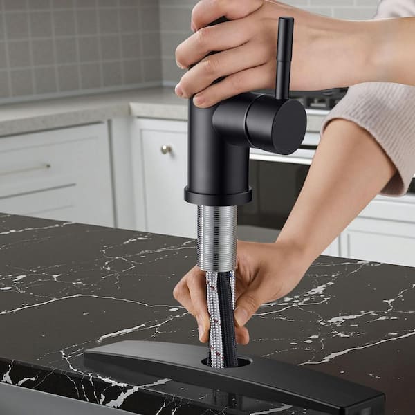 ANZA Single Handle Pull Down Sprayer Kitchen Faucet with Deckplate