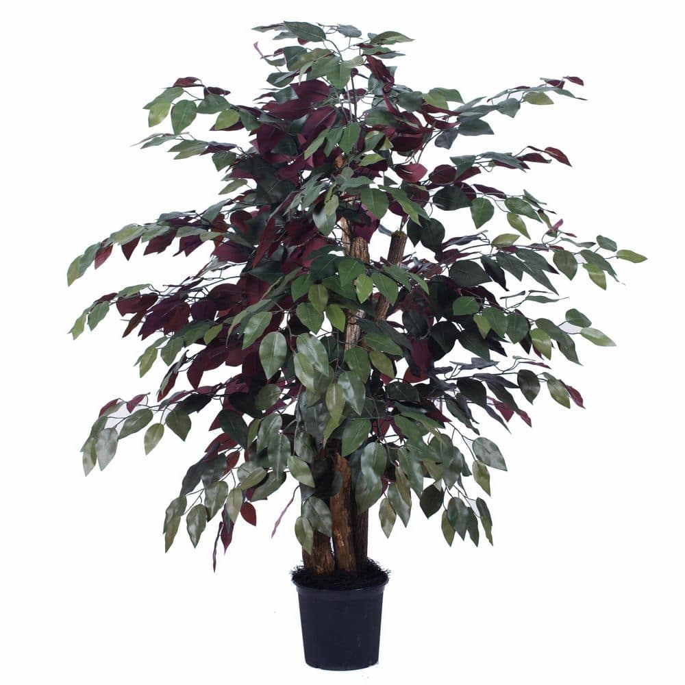 Vickerman 4 ft. Green Artificial Capensia Leaf Bush in Pot TXX034006 The Home Depot