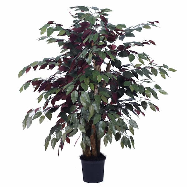 Vickerman 4 ft. Green Artificial Capensia Leaf Bush in Pot