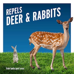40 Oz. Deer And Rabbit Repellent Concentrate
