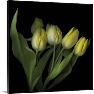 "Yellow Tulips III" by Magda Indigo Canvas Wall Art