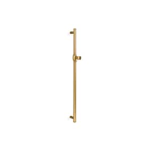 Artifacts 30 in. Shower Slidebar in Vibrant Brushed Moderne Brass