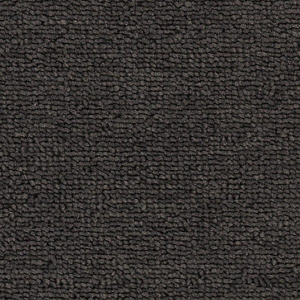 TrafficMaster Main Rail Base - Caviar - Gray 12 oz. Polyester Loop Installed Carpet
