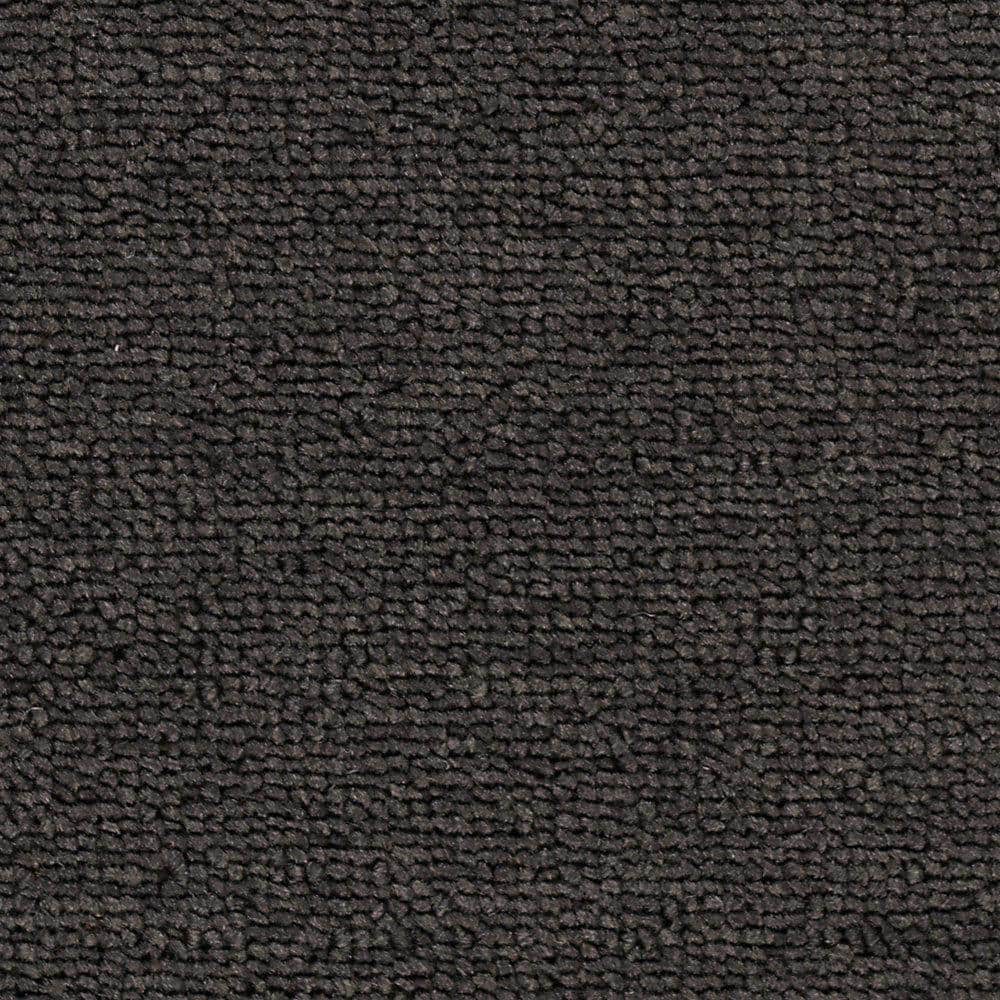 8 in. x 8 in. Loop Carpet Sample - Main Rail 20 -Color Caviar price history on PriceWatchPro