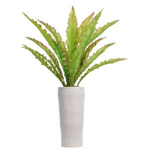 54.5 in. H Real touch agave in Fiberstone Planter