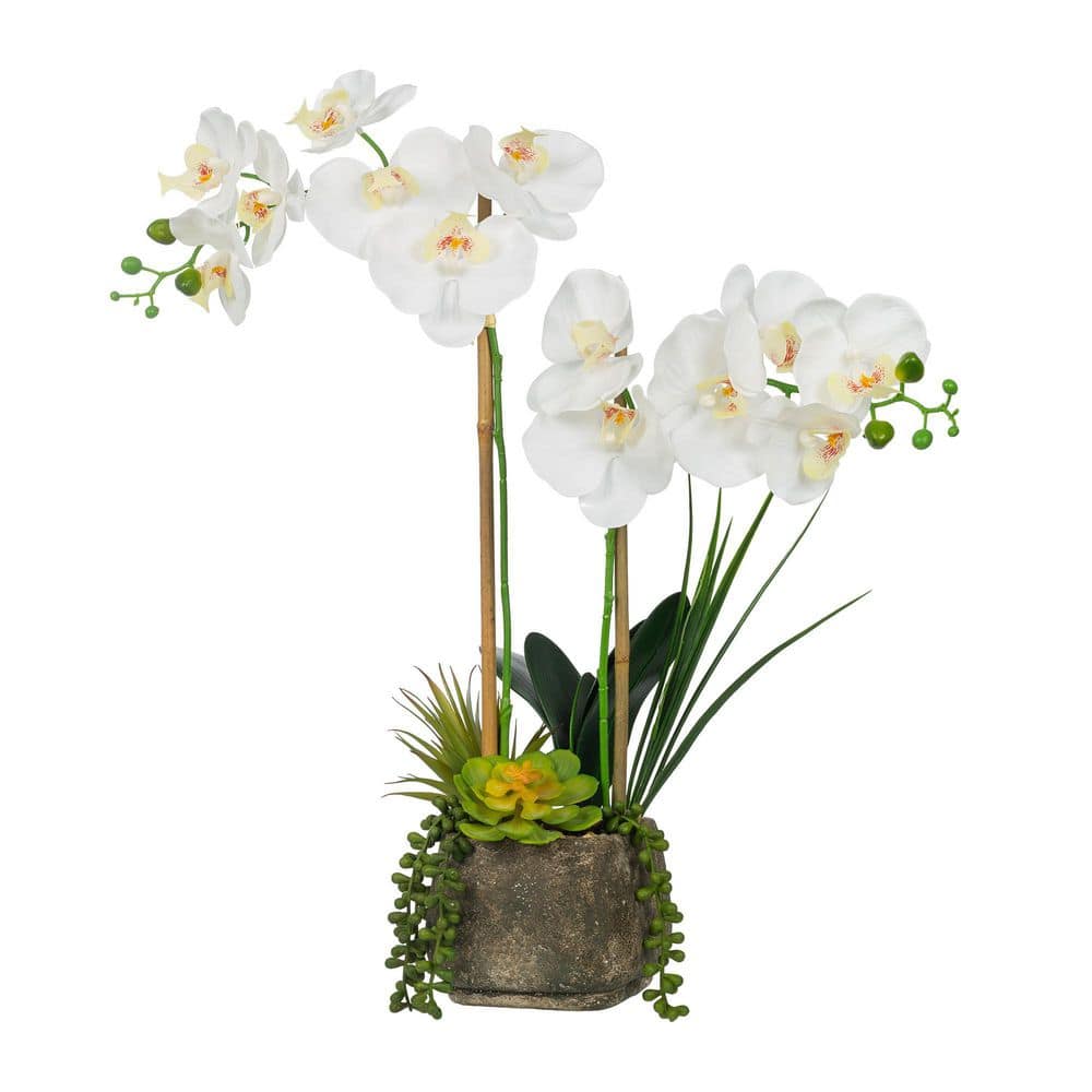 Vanity Art 23. 23 in. H Artificial Phalaenopsis Orchids with Succulents ...