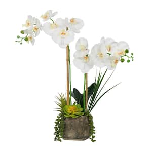 23. 23 in. H Artificial Phalaenopsis Orchids with Succulents Floral Arrangement in Pot