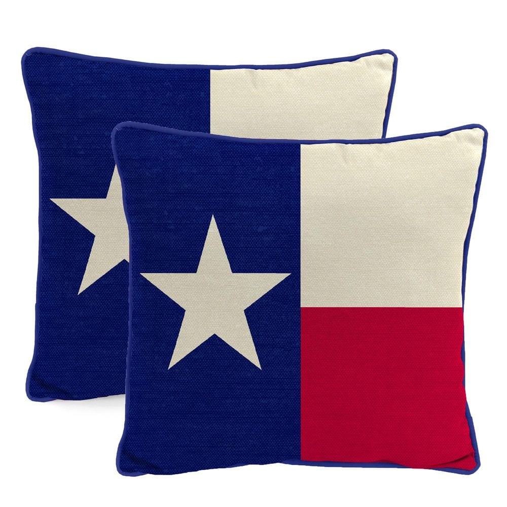 18 in. L x 18 in. W x 5 in. T Outdoor Throw Pillow in Texas Flag (2-Pack) price history on PriceWatchPro