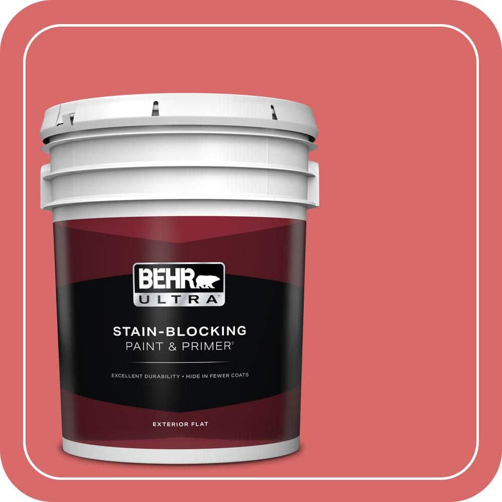 5 gal. #160B-6 Coral Expression Flat Exterior Paint & Primer product image for price tracking