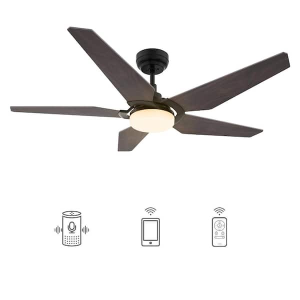 CARRO Voyager 52 in. Dimmable LED Indoor/Outdoor Black Smart Ceiling Fan with Light and Remote Works w/Alexa/Google Home