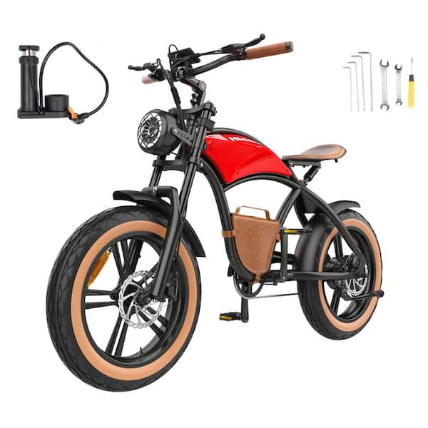 PHNHOLUN 20 in. Electric Dirt Bike 1000-Watt Fat Tire E-bike with 12.5Ah Removable Battery Up to 28MPH Disc Brakes Mountain-Ebike