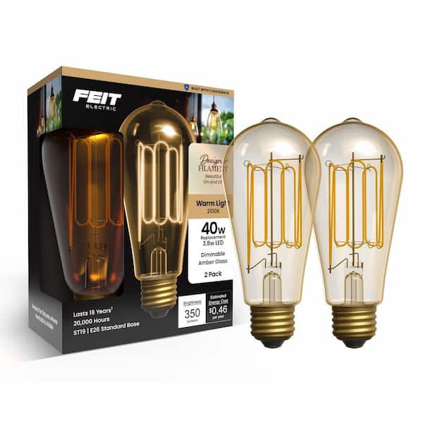 40W Equiv. ST19 Dim. Wound Fil. Amber Glass E26 Vintage Edison LED Straight Tapered Light Bulb Warm White 2100K (2-Pack)