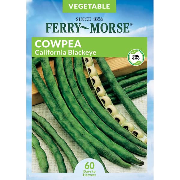 Ferry-Morse Cowpea California Blackeye Fruit Seeds