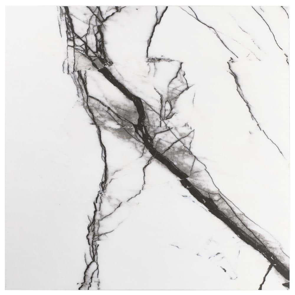 Magnus 24" x 24" Matte Black and White Porcelain Tile